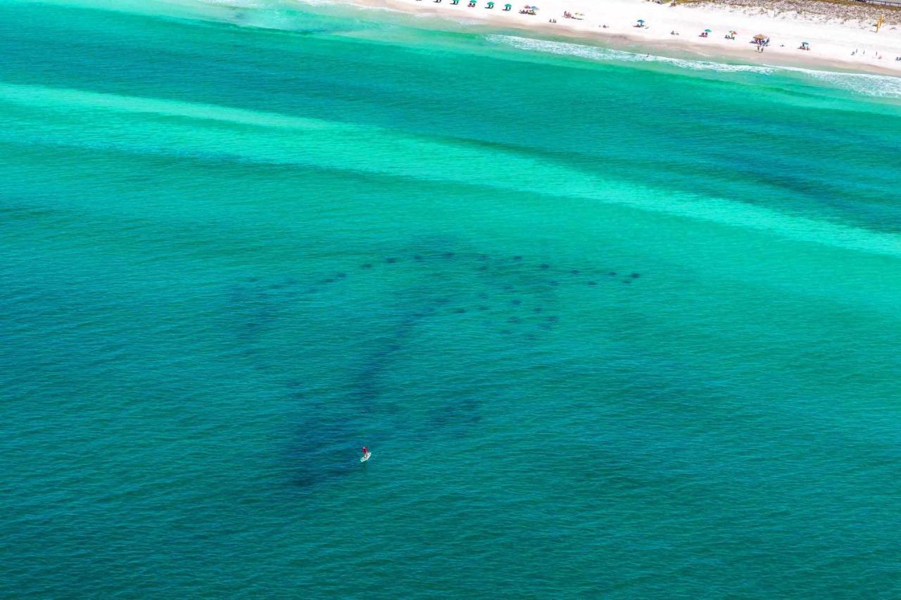 Seascape 38A Apartment Destin Bagian luar foto